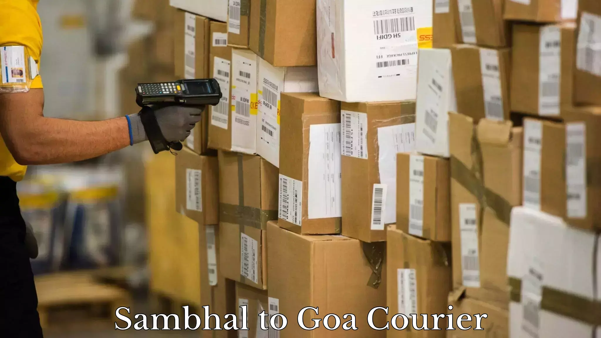 High-capacity courier solutions in Sambhal to Goa