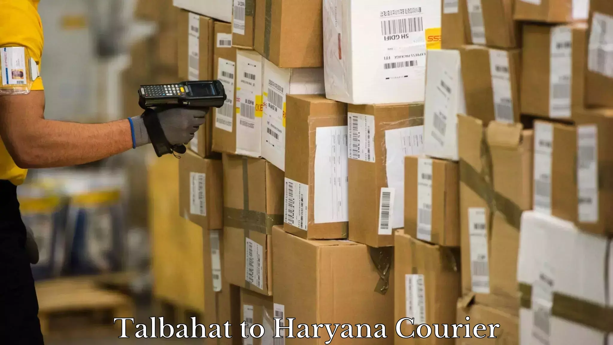 International courier networks Talbahat to Haryana