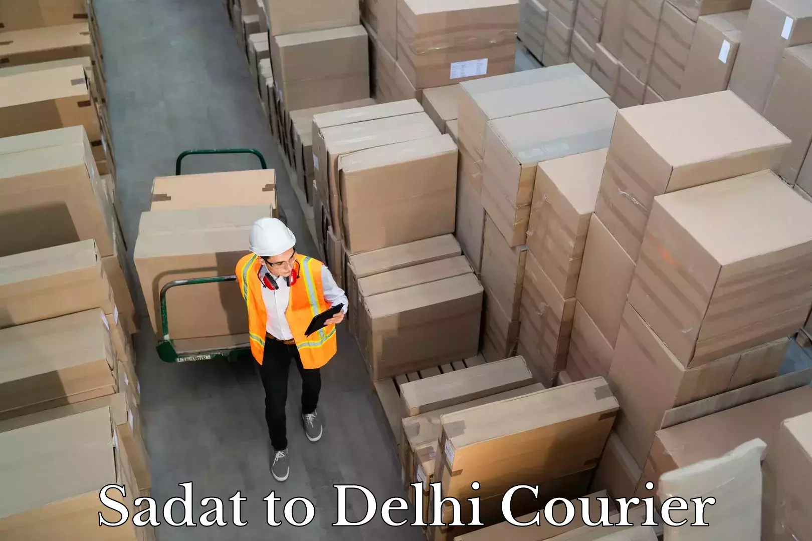 Global logistics network Sadat to Delhi