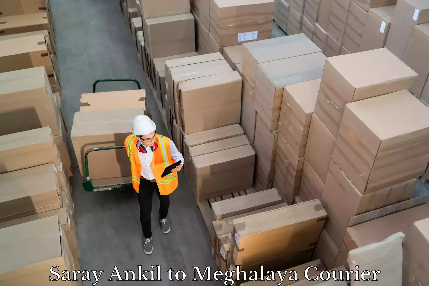 Efficient freight transportation Saray Ankil to Umsaw