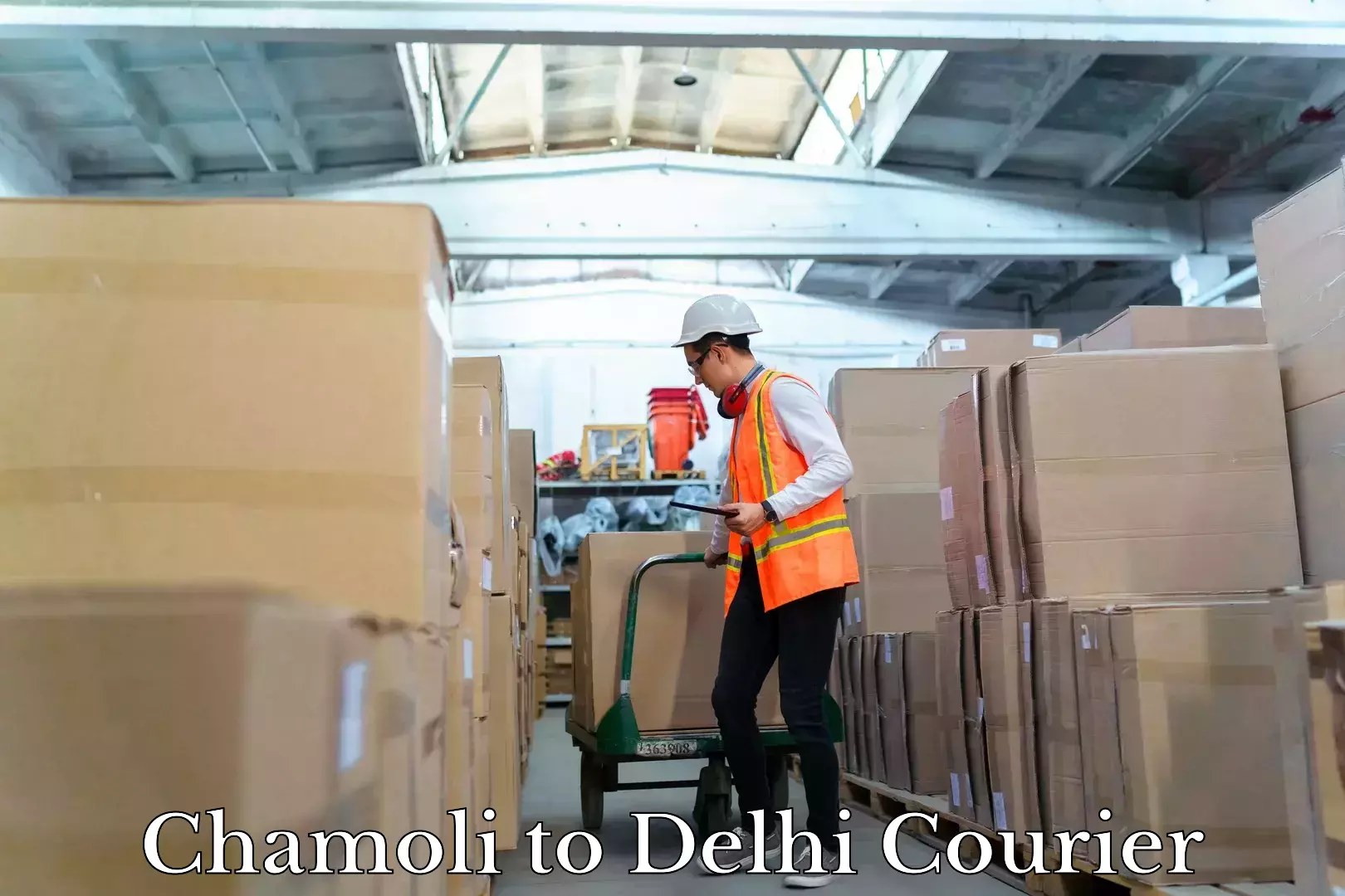 Dynamic parcel delivery Chamoli to Naraina Industrial Estate