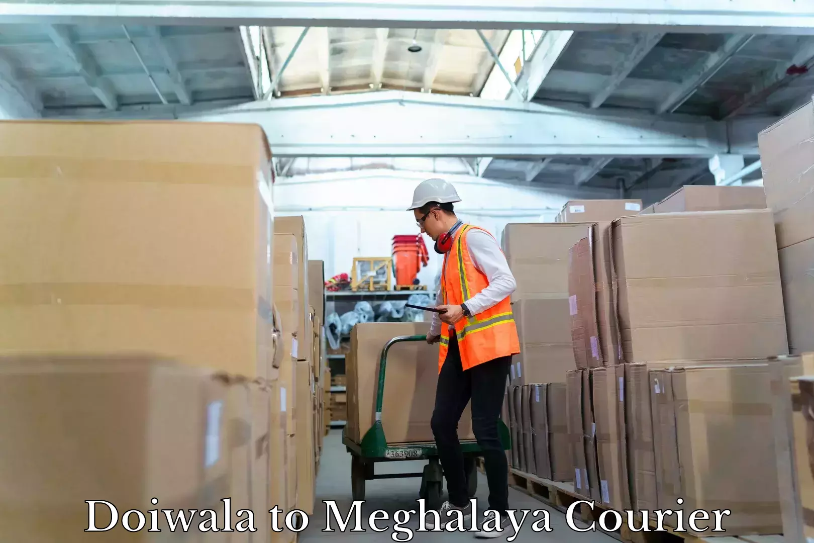 Courier membership Doiwala to Nongstoin