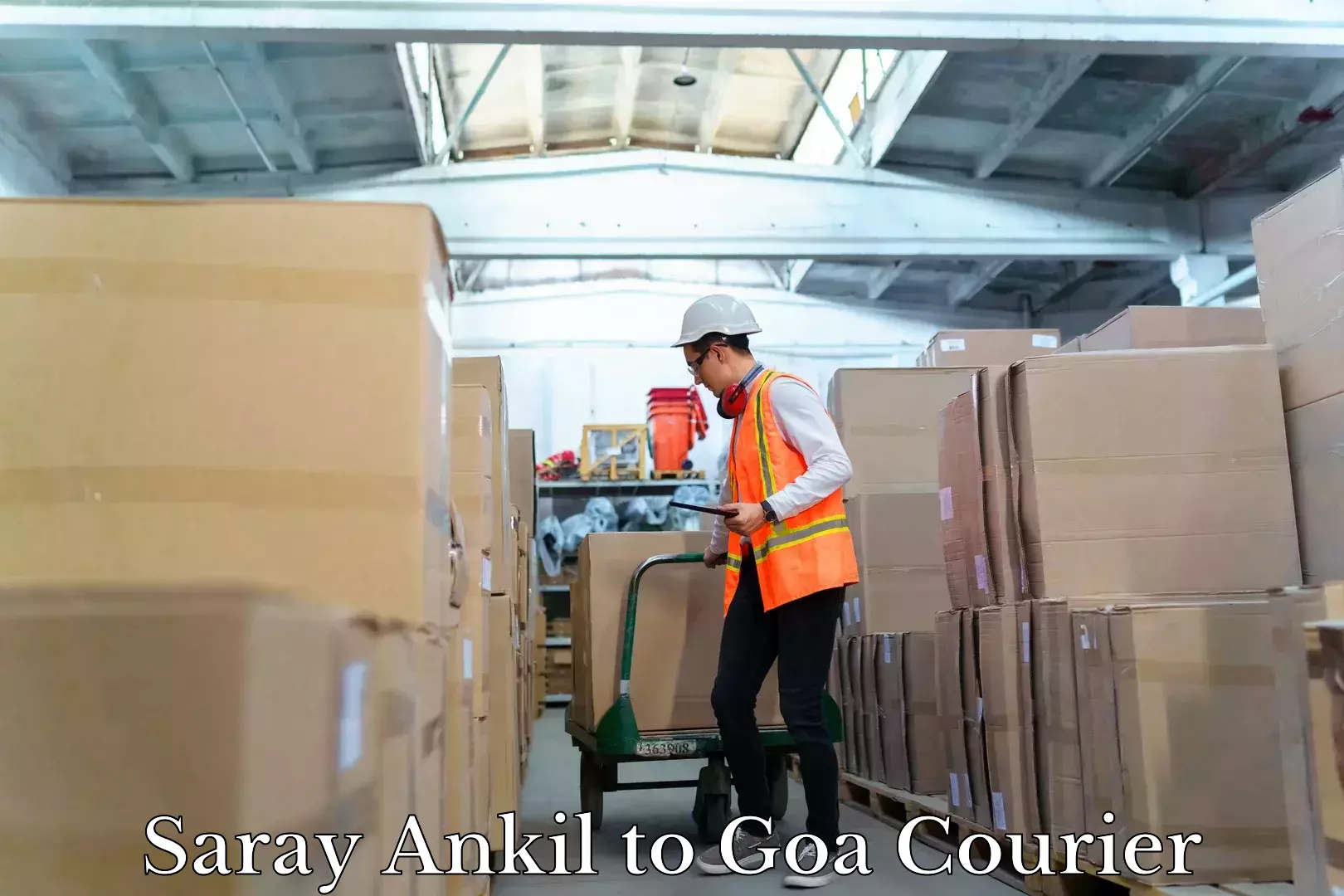 Custom courier solutions Saray Ankil to NIT Goa