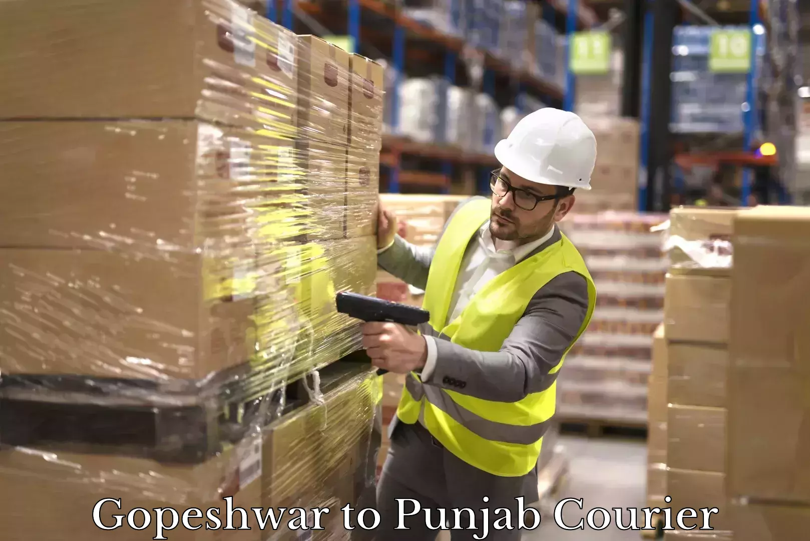 Local delivery service Gopeshwar to Punjab