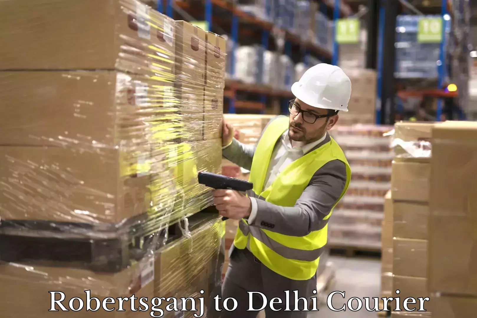 Express shipping Robertsganj to Delhi