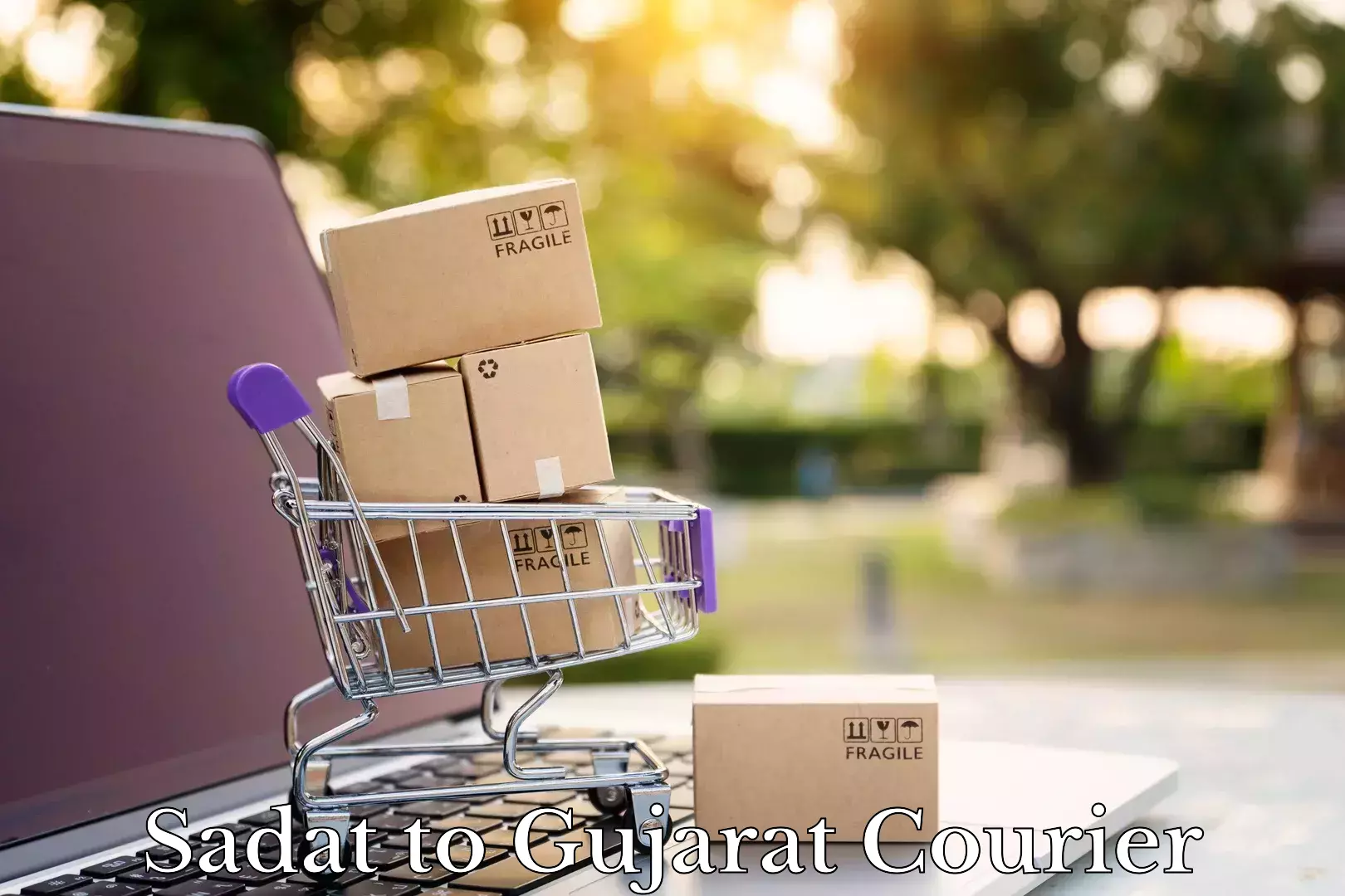 Full-service courier options Sadat to Gujarat