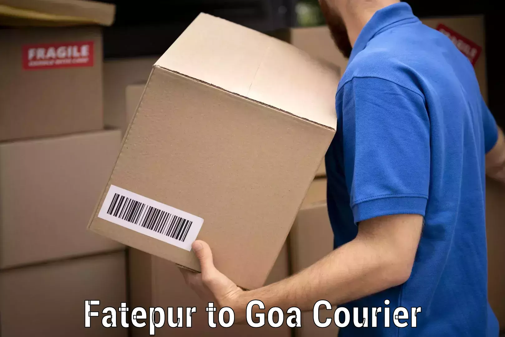 Professional home goods transport Fatepur to Panaji