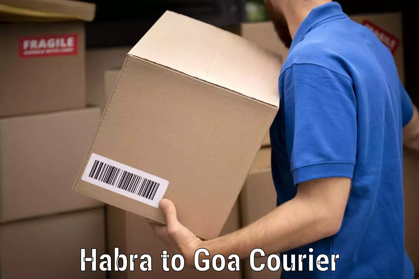 Quick moving services Habra to Goa