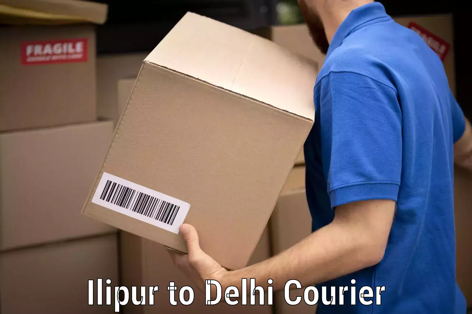 Specialized household transport Ilipur to Delhi