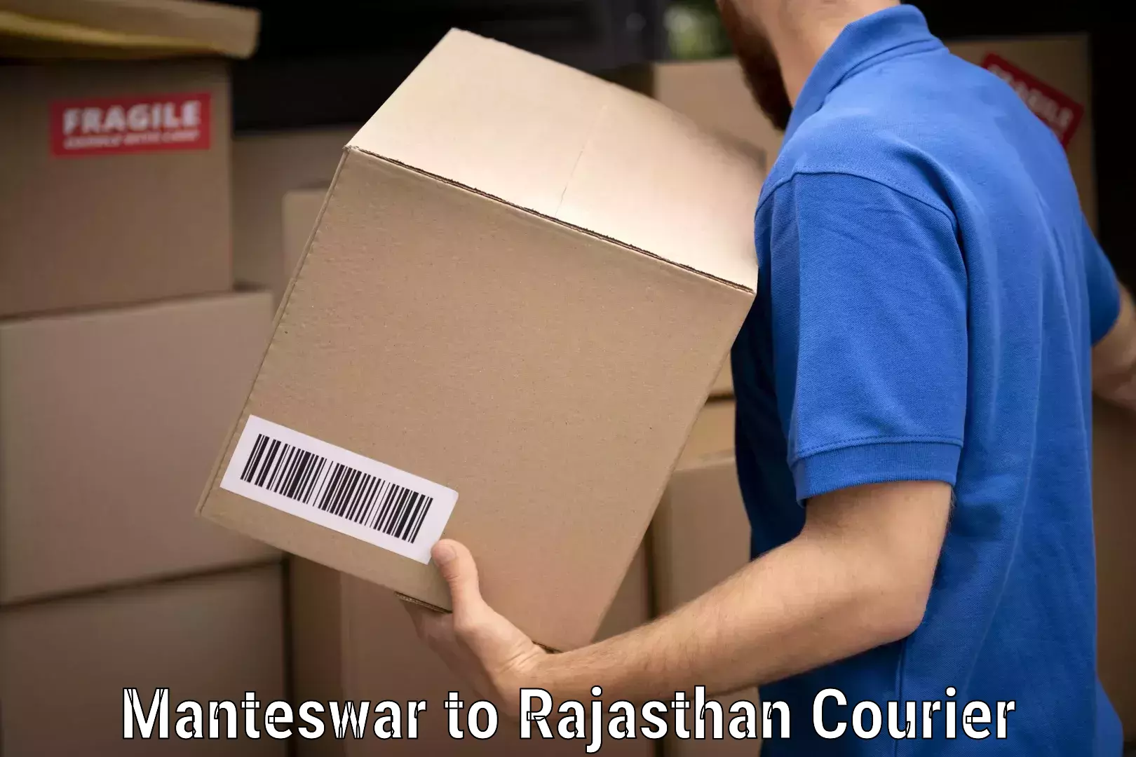 Specialized moving company Manteswar to Rajasthan
