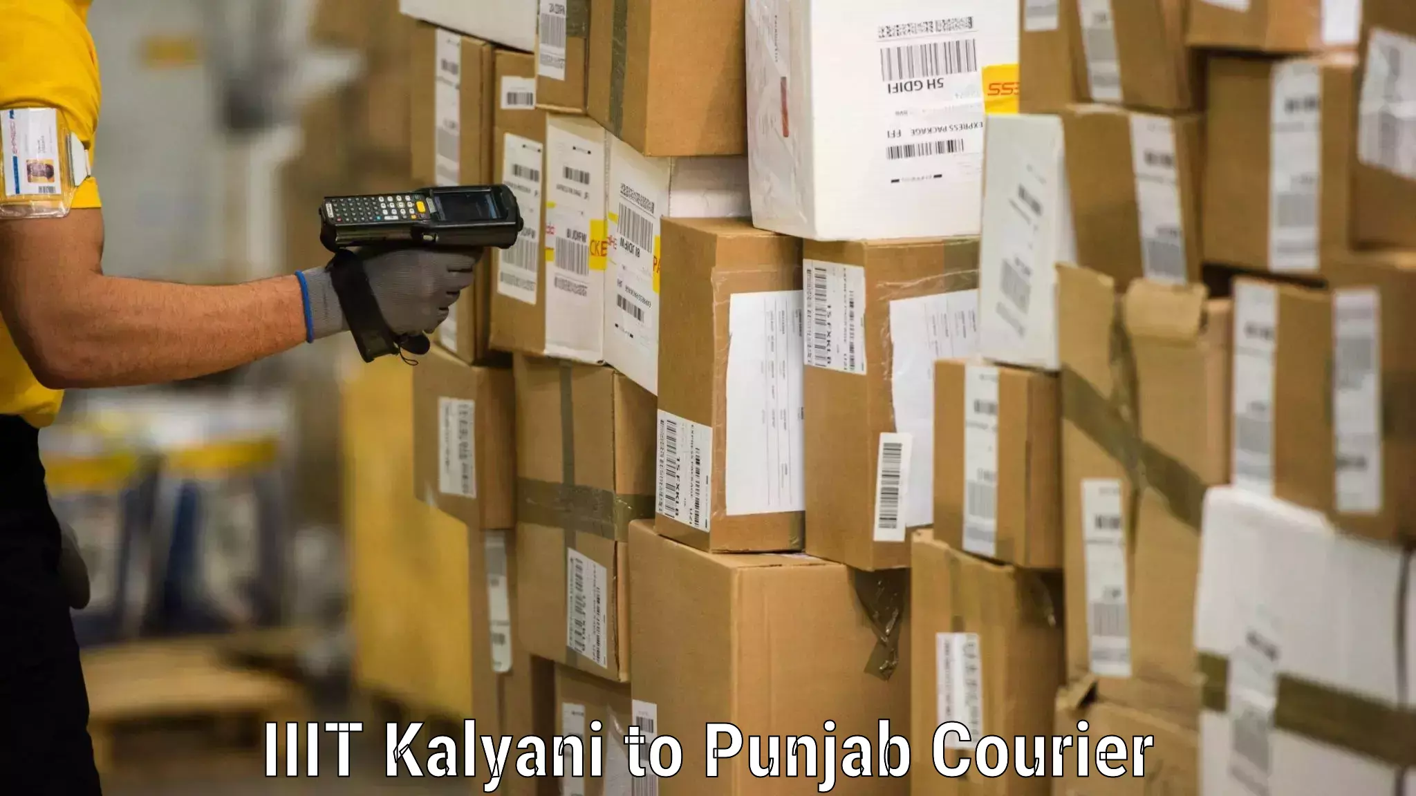 Furniture transport and logistics IIIT Kalyani to Punjab