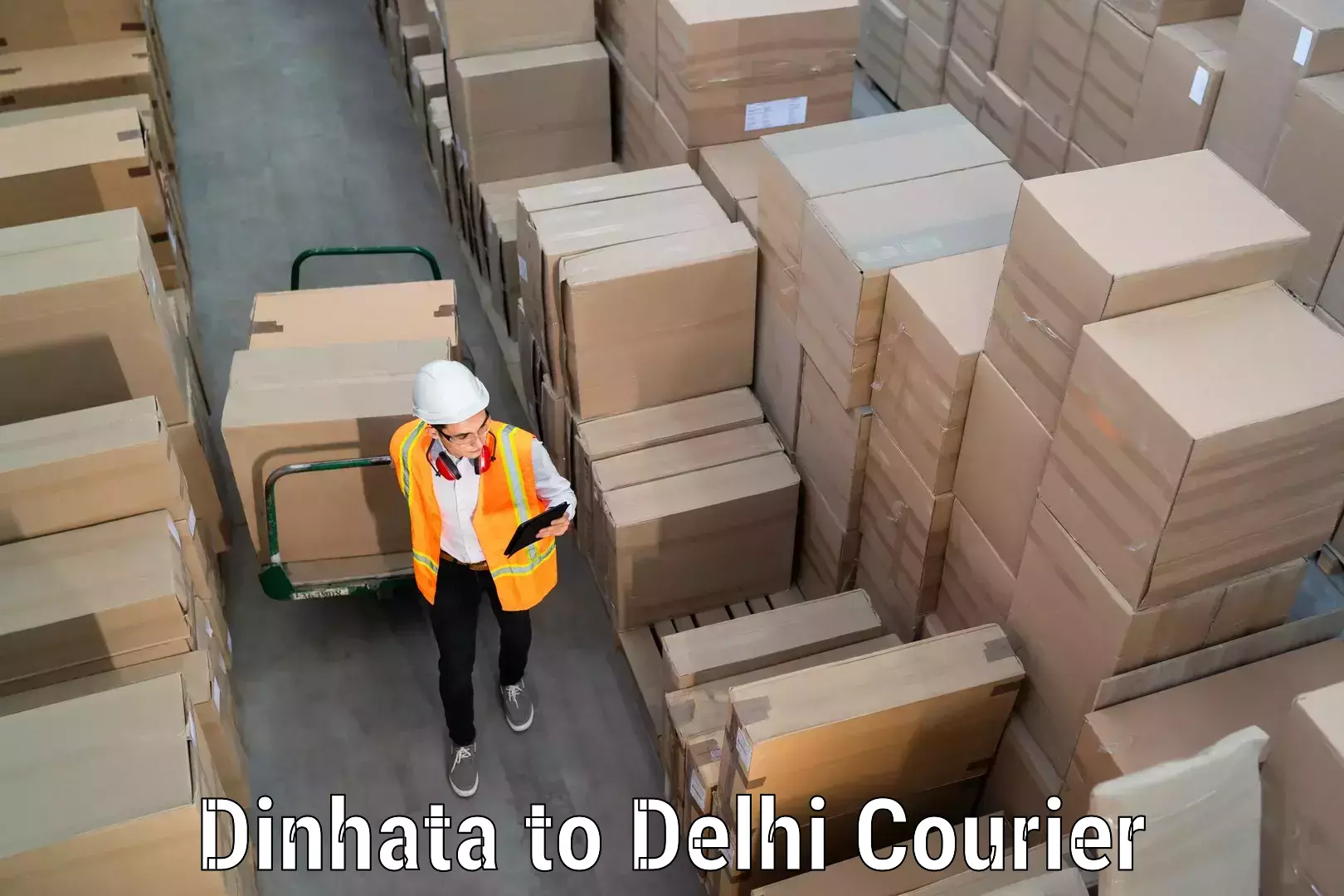 Skilled household transport Dinhata to East Delhi