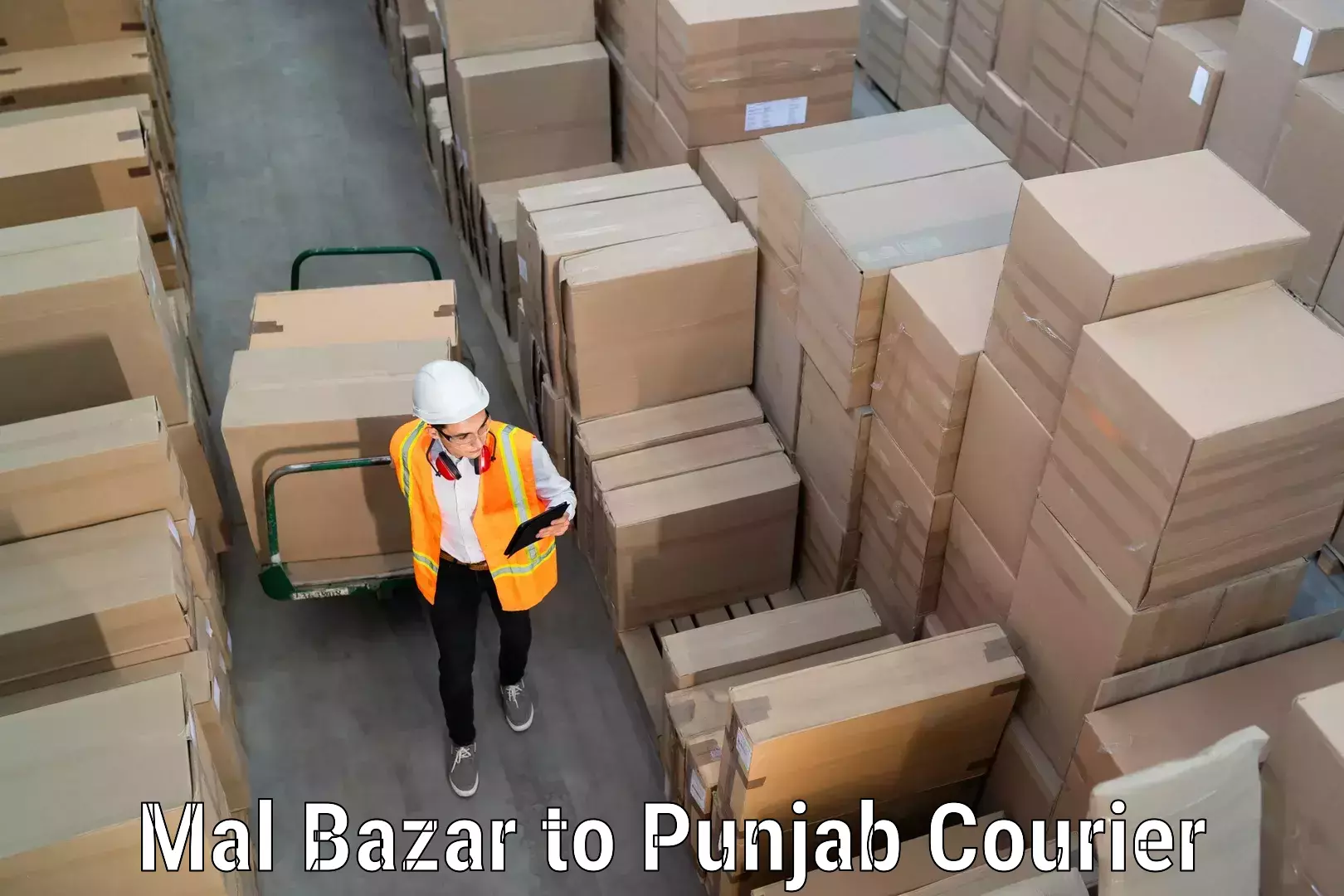 Household goods transport service Mal Bazar to Punjab