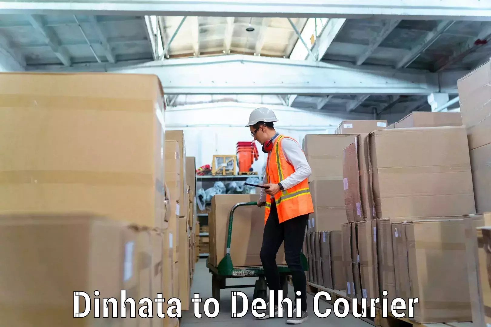 Online household goods transport Dinhata to Delhi