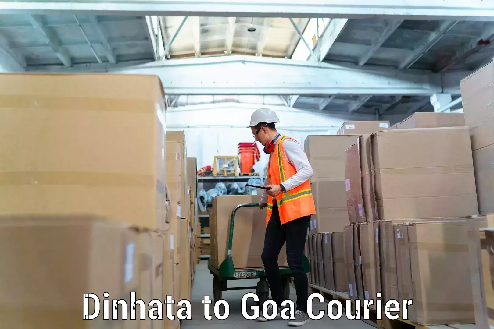 Tailored moving services Dinhata to Goa