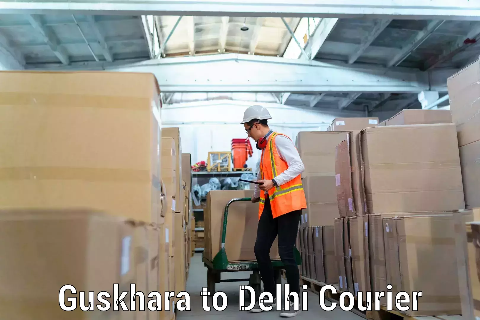 Household goods delivery Guskhara to Delhi