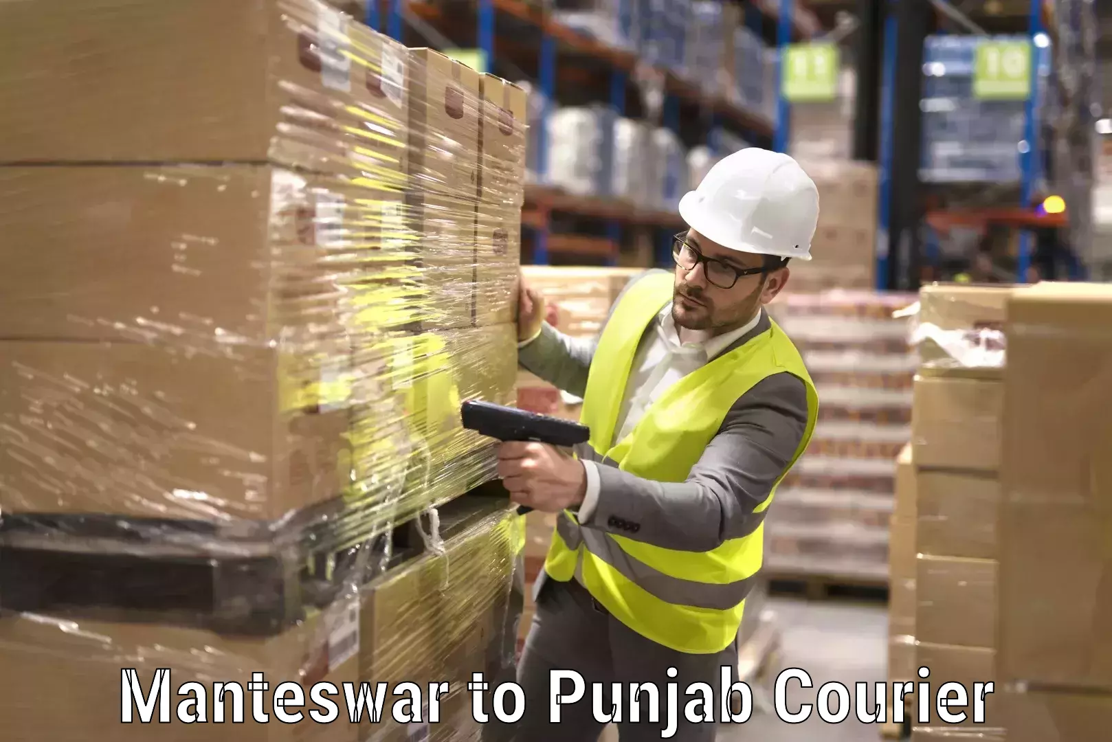 Furniture moving specialists Manteswar to Punjab