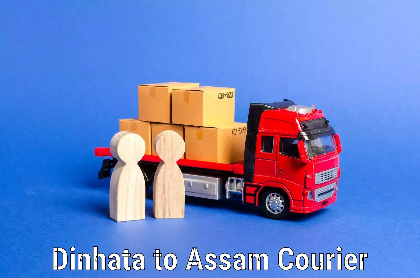 Professional goods transport Dinhata to Assam