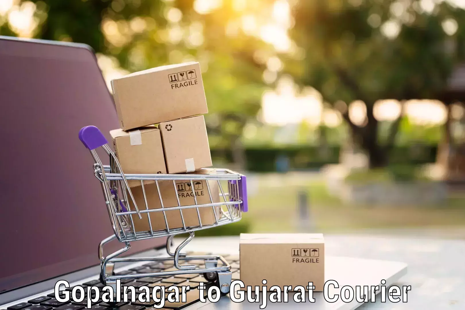 Safe home goods transport Gopalnagar to Gujarat