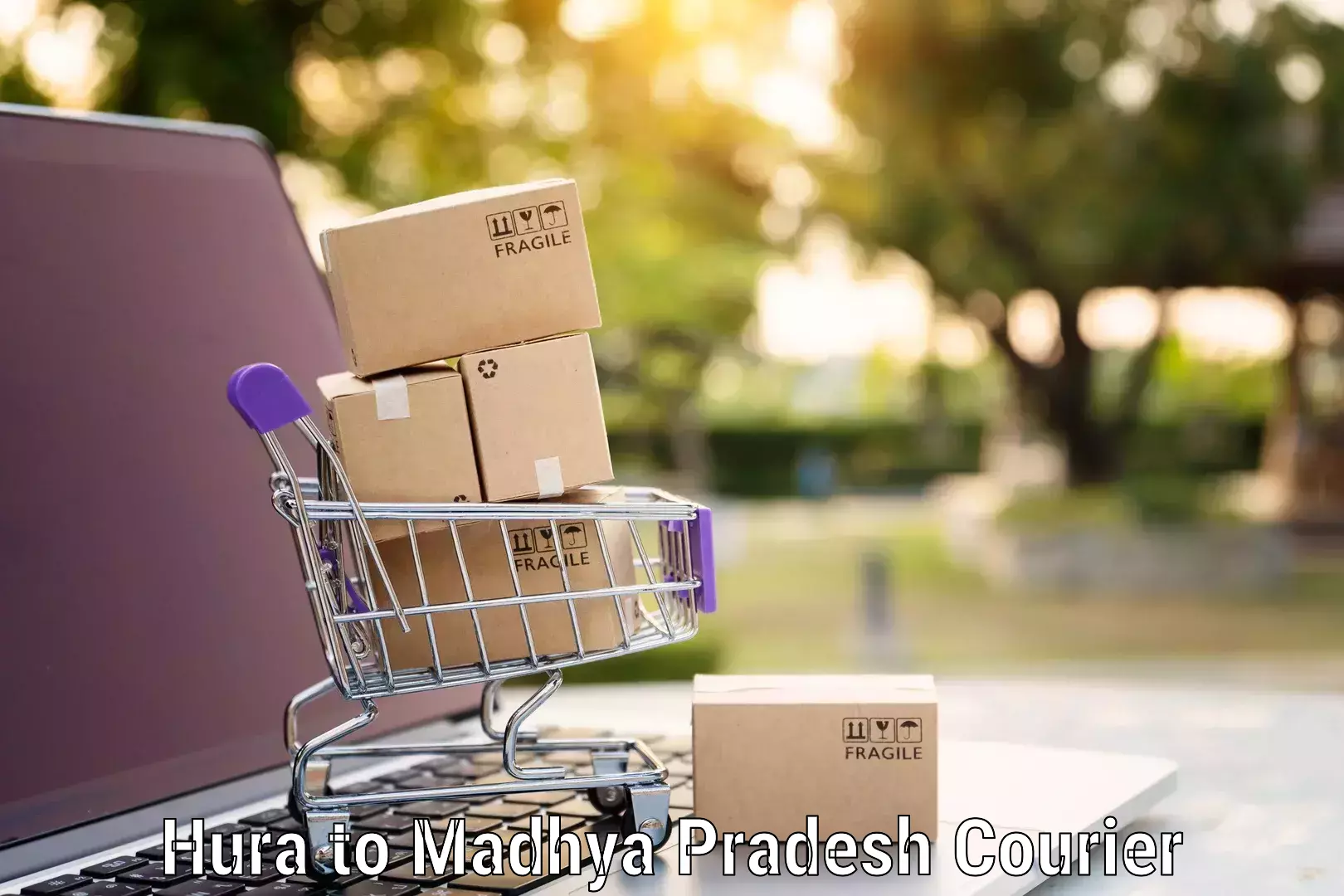 Home moving solutions Hura to Madhya Pradesh