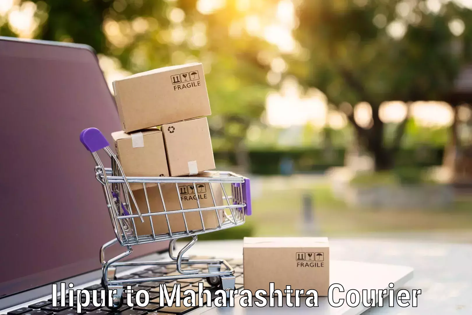 Budget-friendly movers Ilipur to Maharashtra