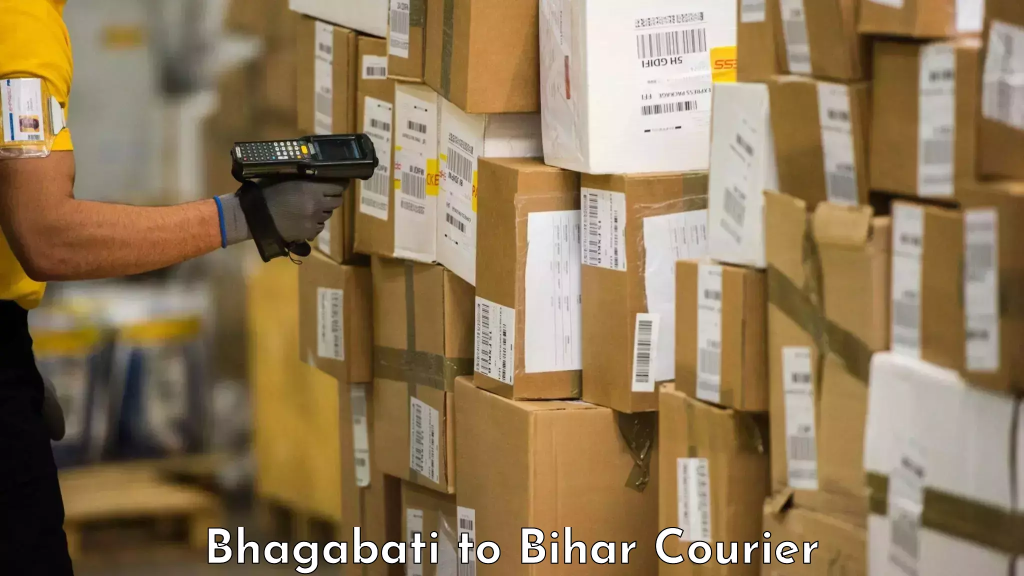 Baggage shipping schedule Bhagabati to Bhabua