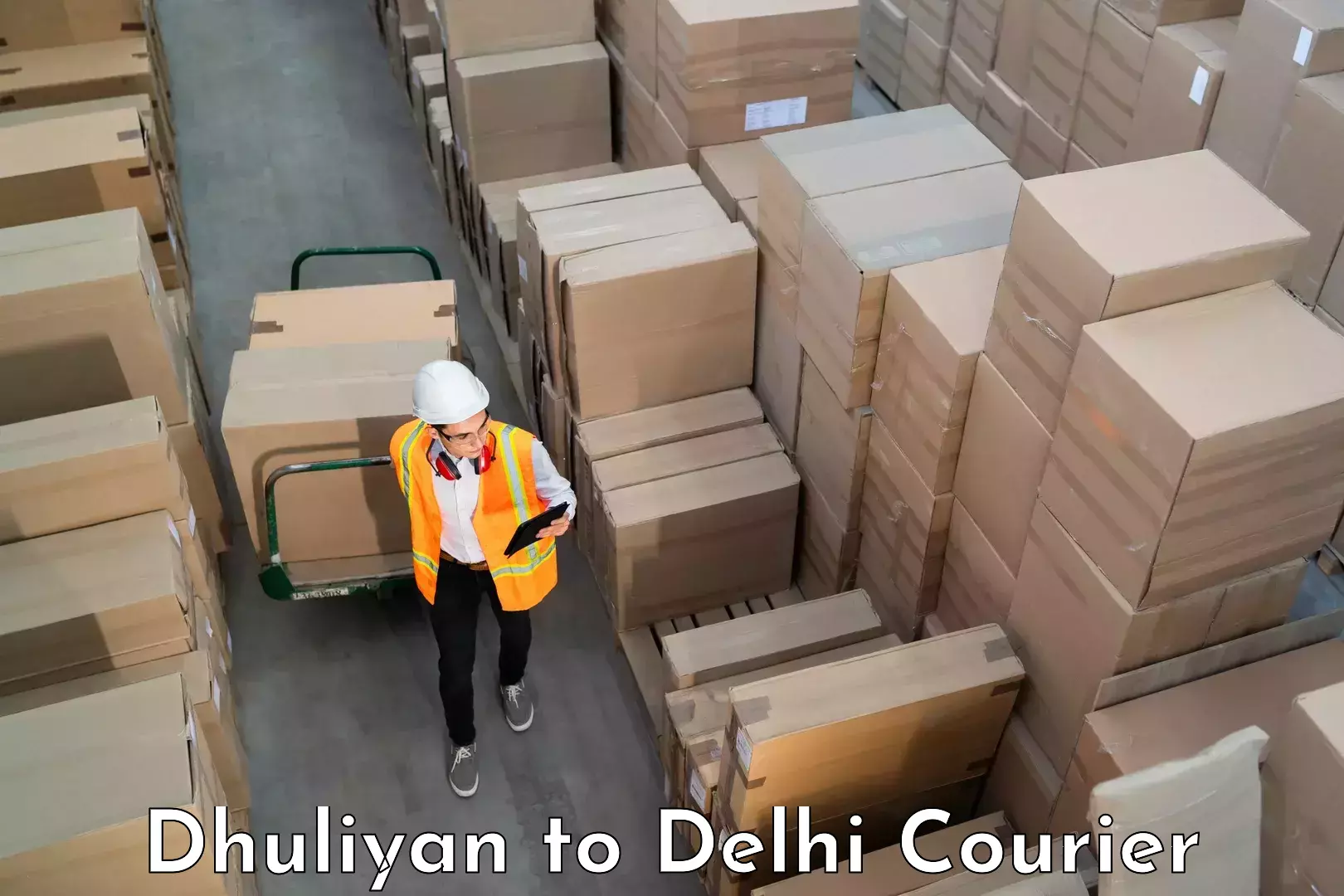 Luggage shipping strategy Dhuliyan to NCR