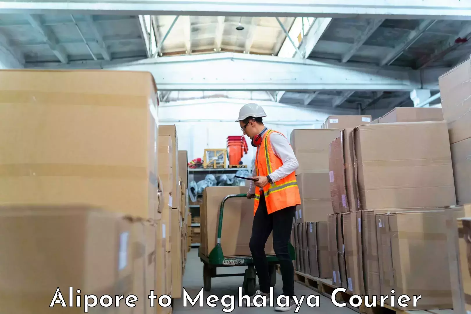 Baggage shipping optimization Alipore to Meghalaya