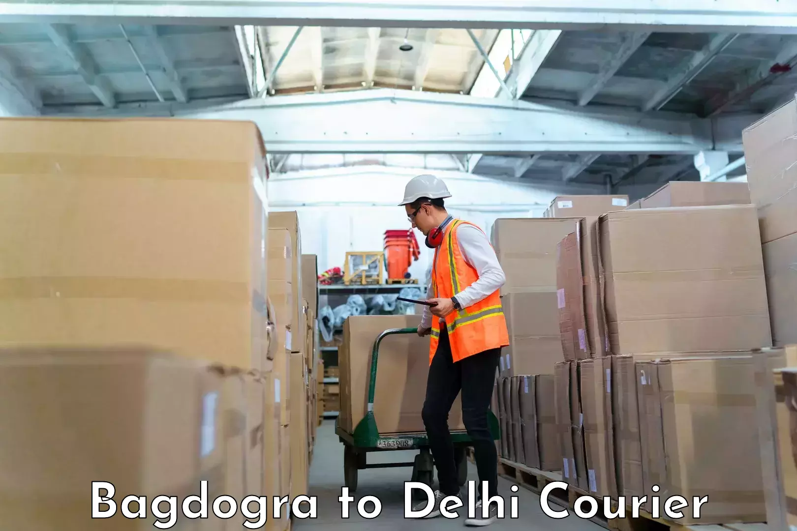 Luggage shipping estimate Bagdogra to IIT Delhi