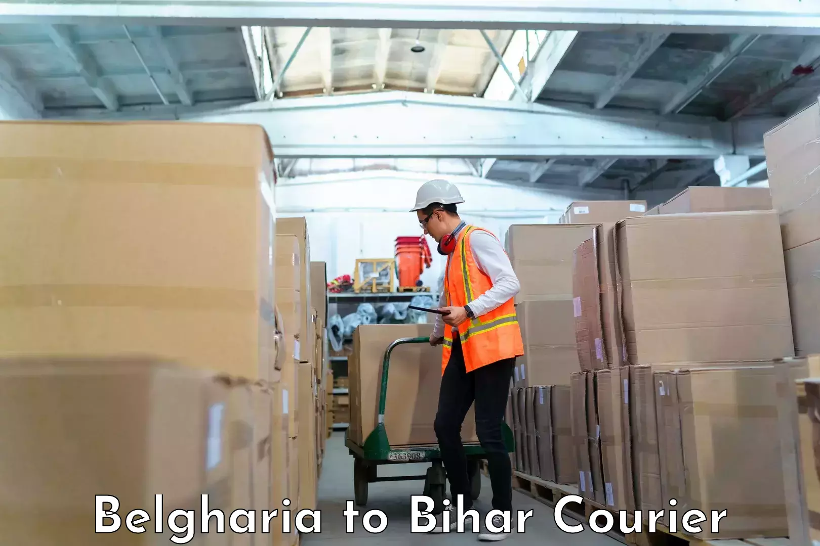 Luggage transport service Belgharia to Dighwara