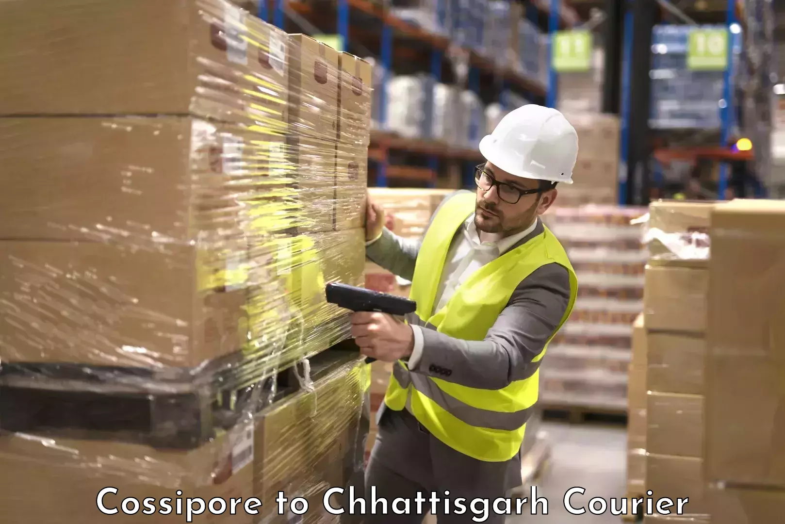 Luggage shipping estimate Cossipore to Patan Durg