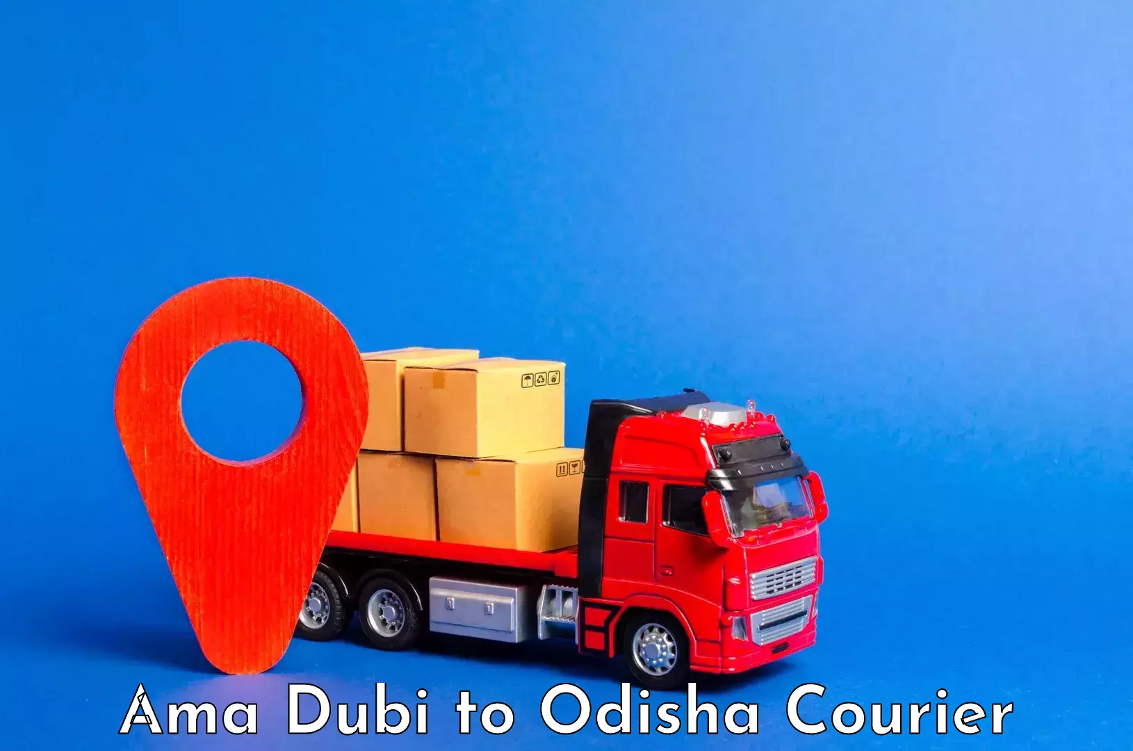 Luggage courier excellence Ama Dubi to Odisha