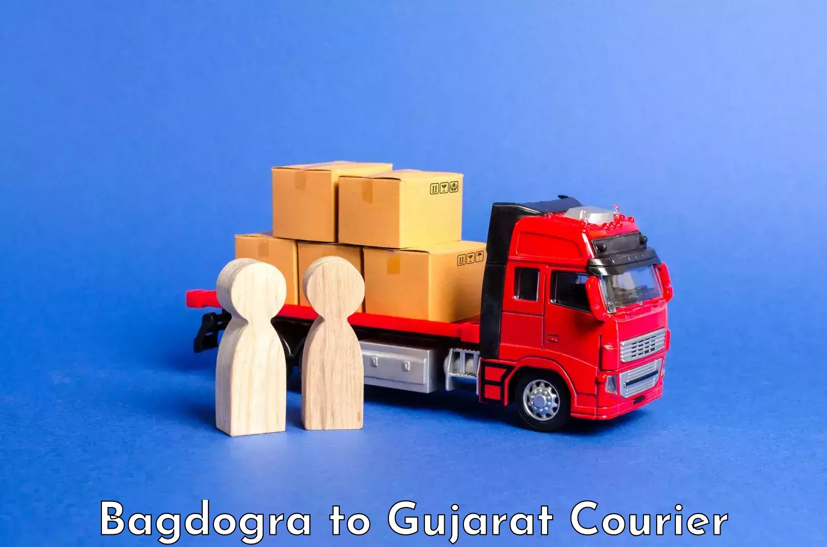 Luggage storage and delivery in Bagdogra to IIIT Surat