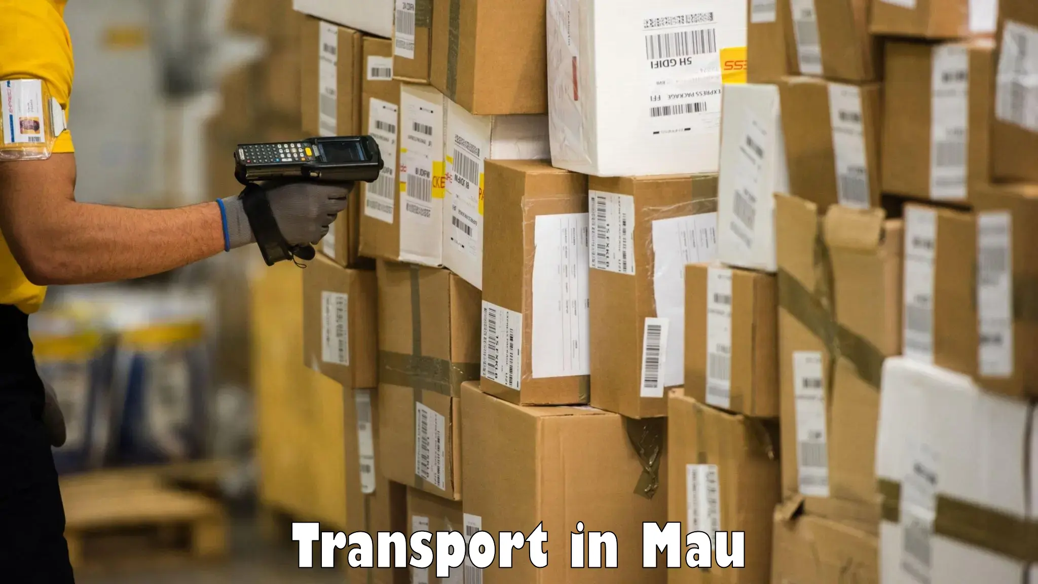 Transport shared services in Mau