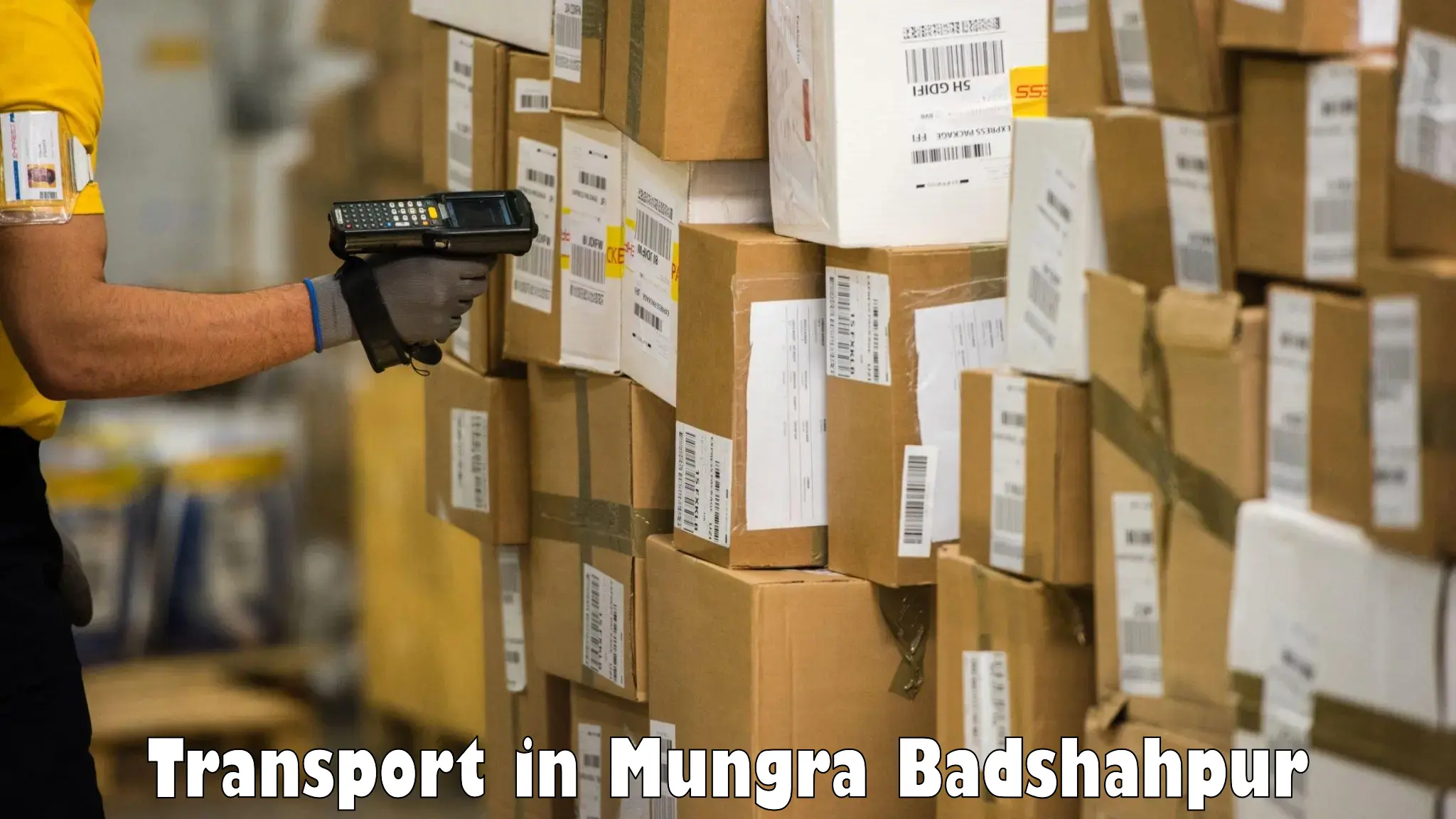 Vehicle courier services in Mungra Badshahpur