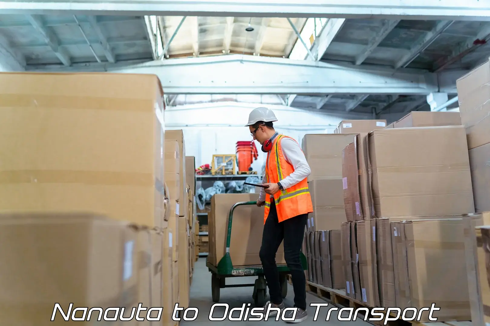 Logistics transportation services Nanauta to Polasara