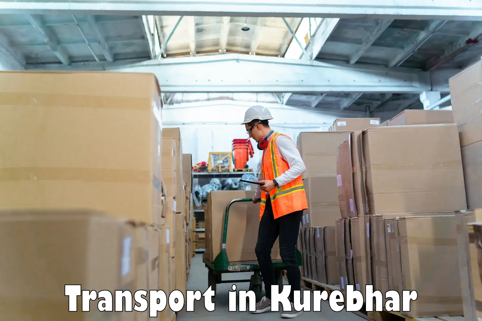 Parcel transport services in Kurebhar