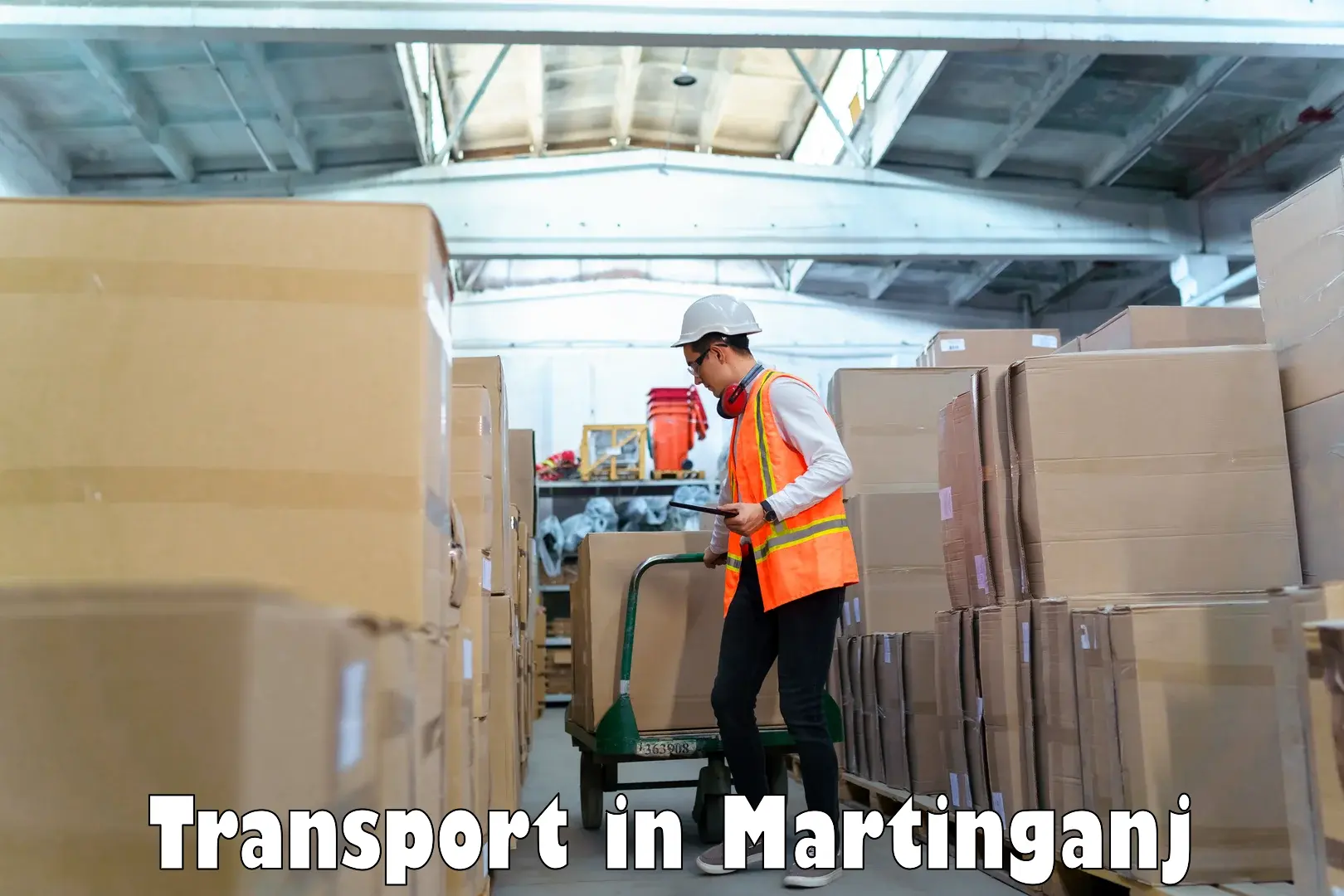 Commercial transport service in Martinganj