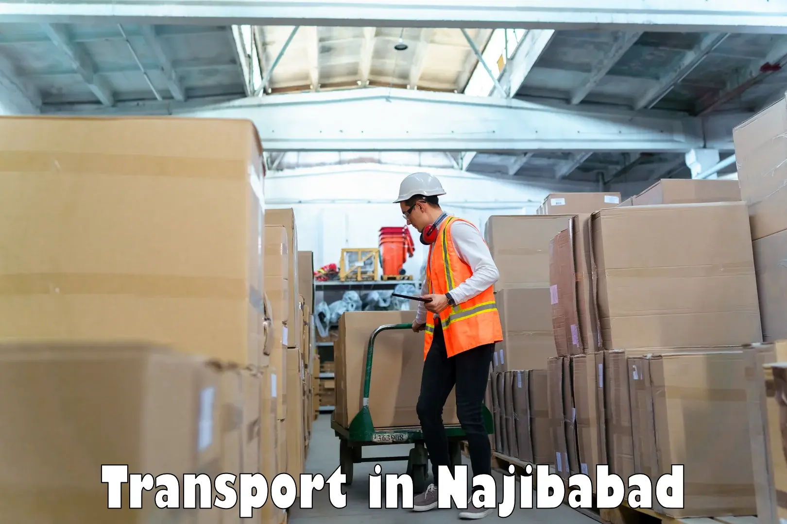 Vehicle transport services in Najibabad