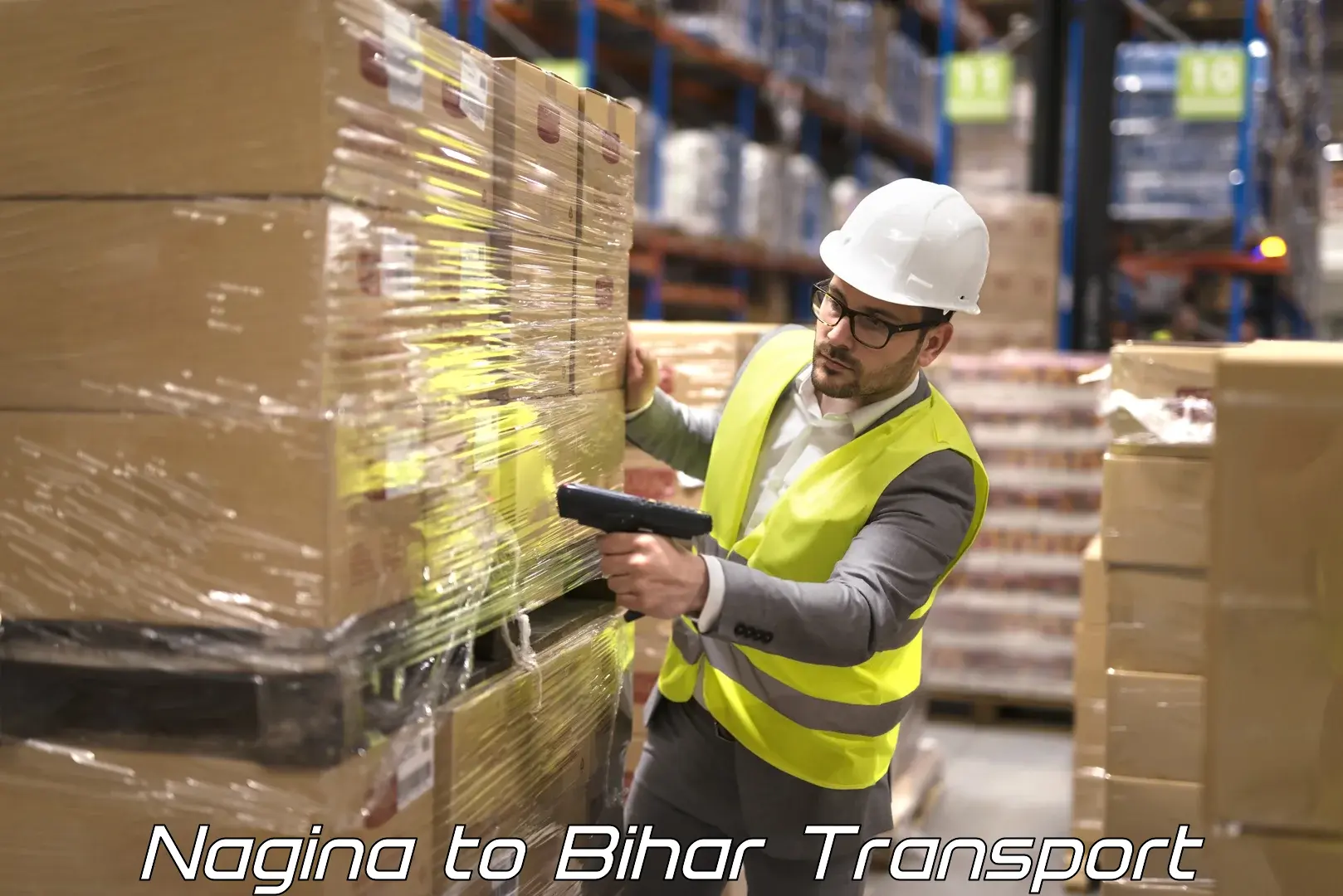 India truck logistics services Nagina to Hajipur Vaishali