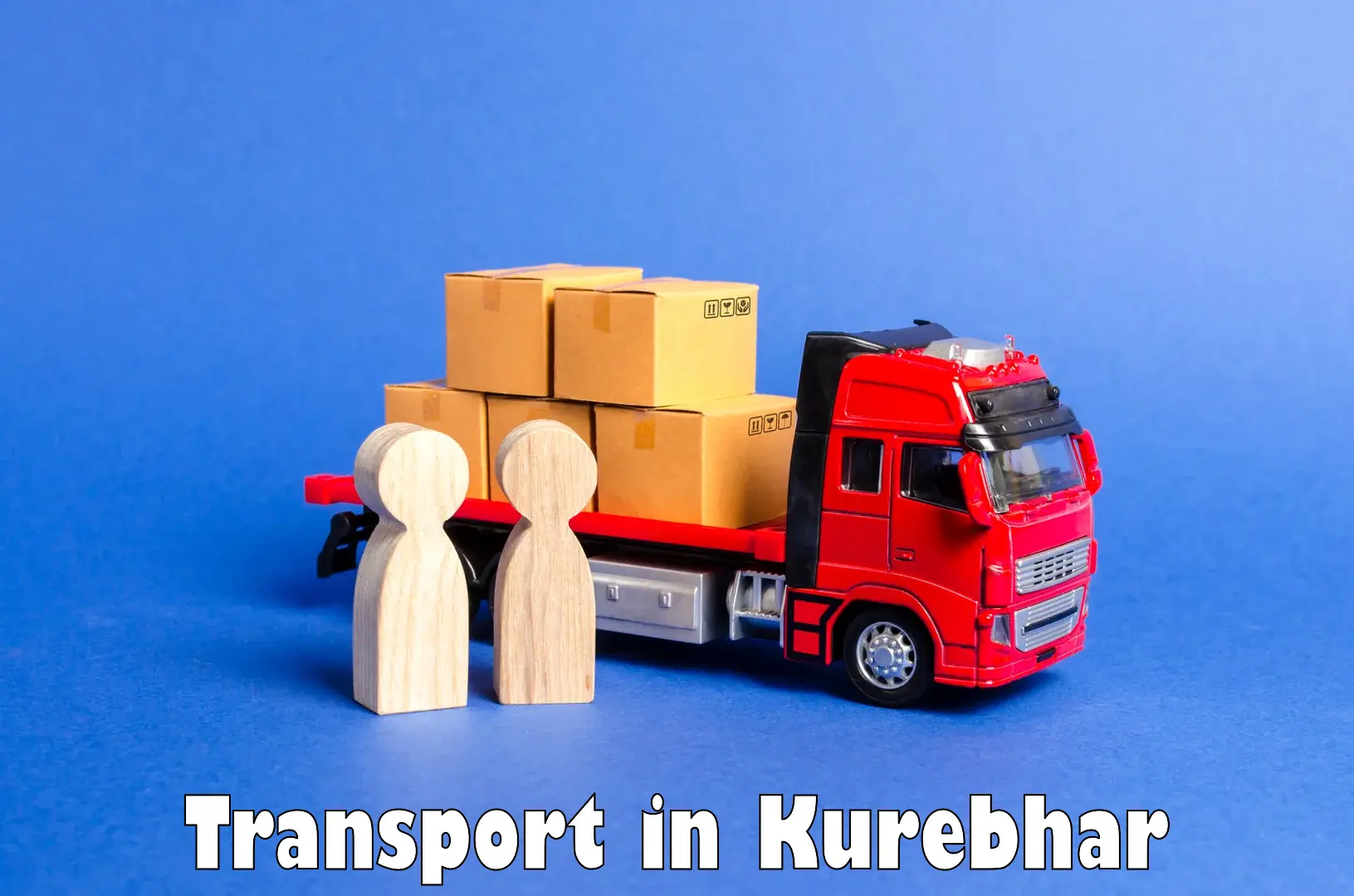 Pick up transport service in Kurebhar
