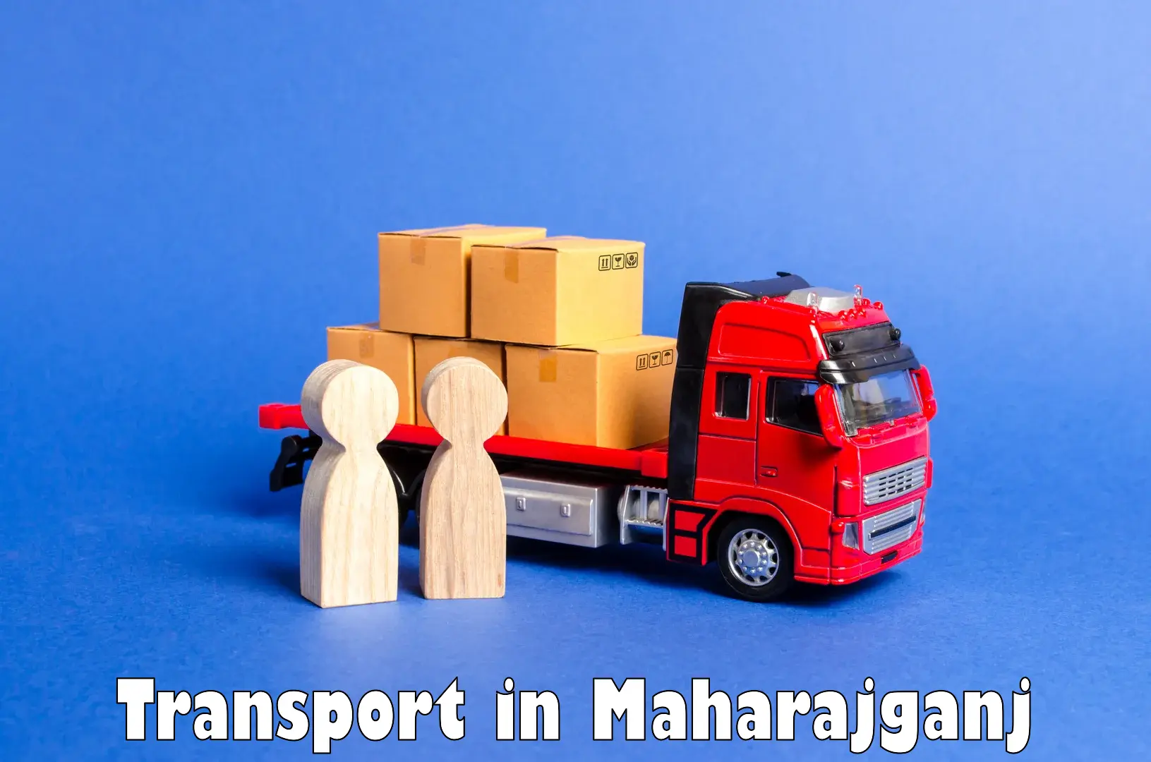 Luggage transport services in Maharajganj