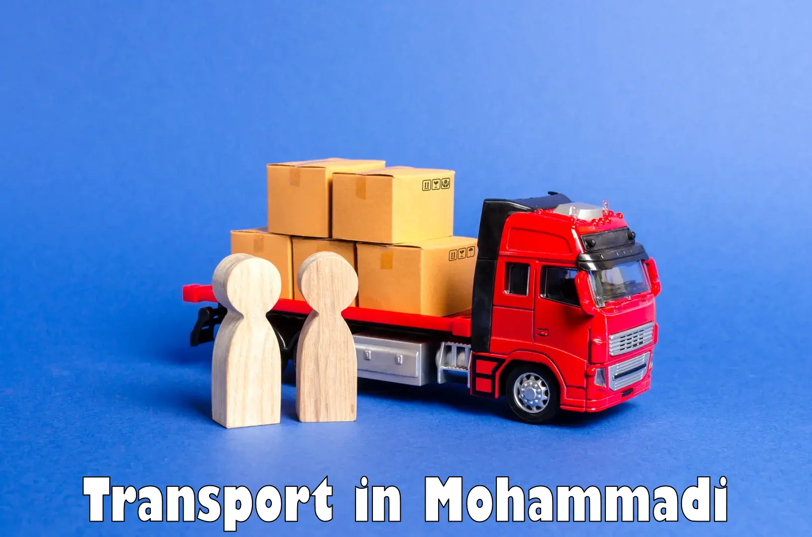 Daily parcel service transport in Mohammadi